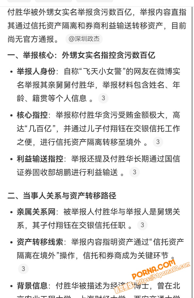 湖南长沙副市长 付胜华 ...（4）