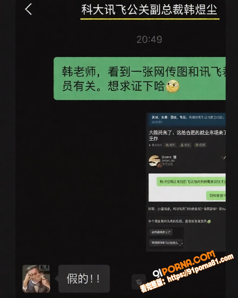 讯飞公关副总裁 韩煜尘 ...（11）