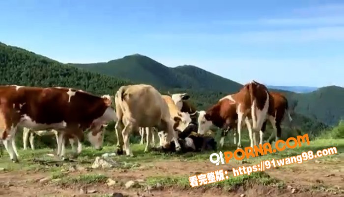 网络热瓜！五台山一男子拿...（5）