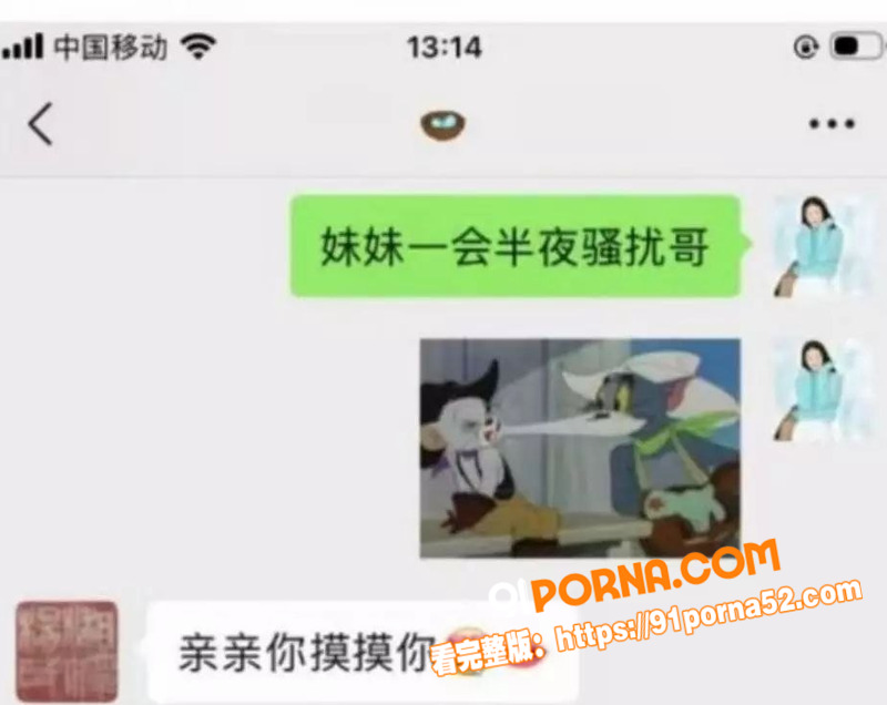 人大历史系教授 杨念群 ...（12）