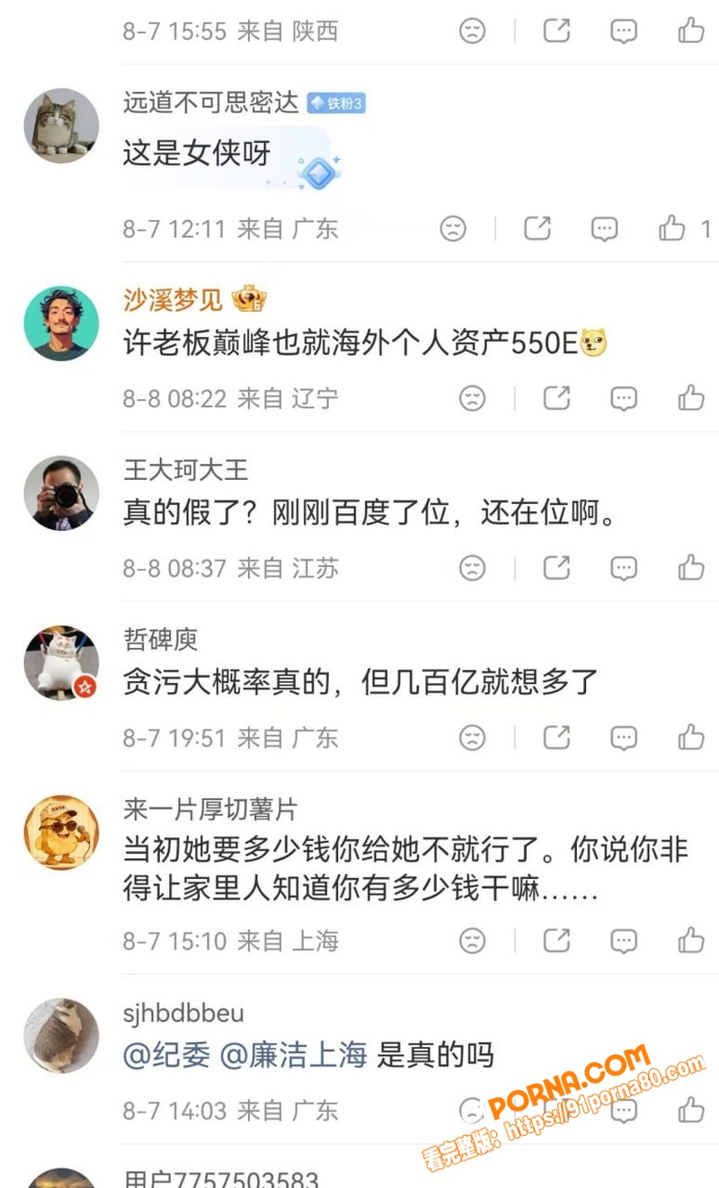 湖南长沙副市长 付胜华 ...（10）