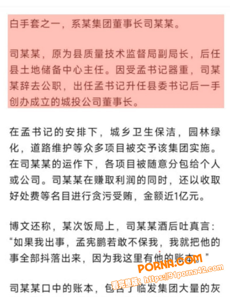 河北临西县委书记 孟宪鹏...（5）