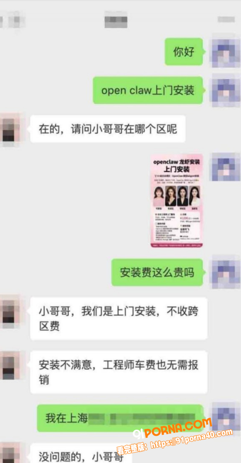 OpenClaw上门安装...（10）