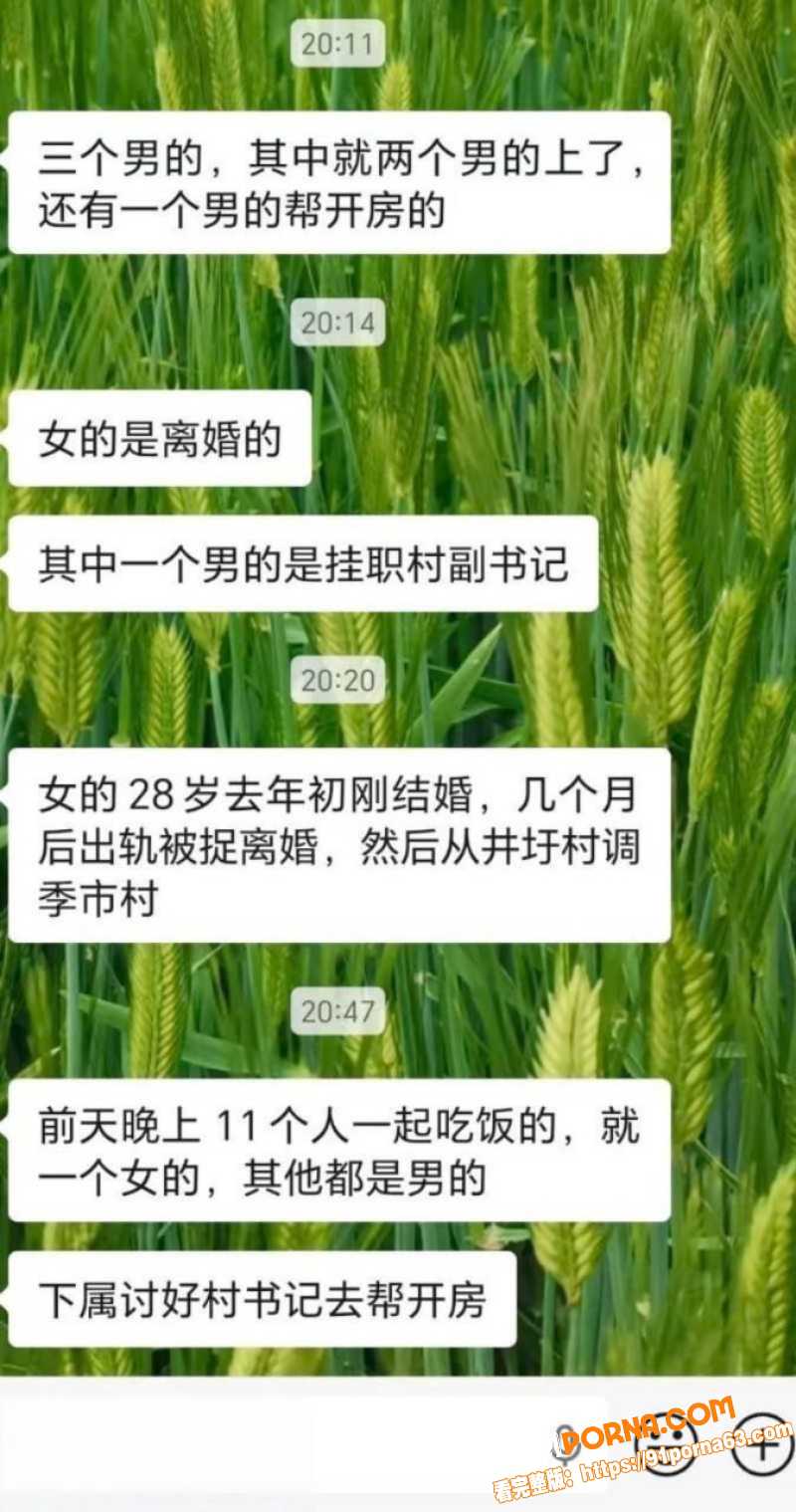 江苏泰州井圩村 村党总支...（3）