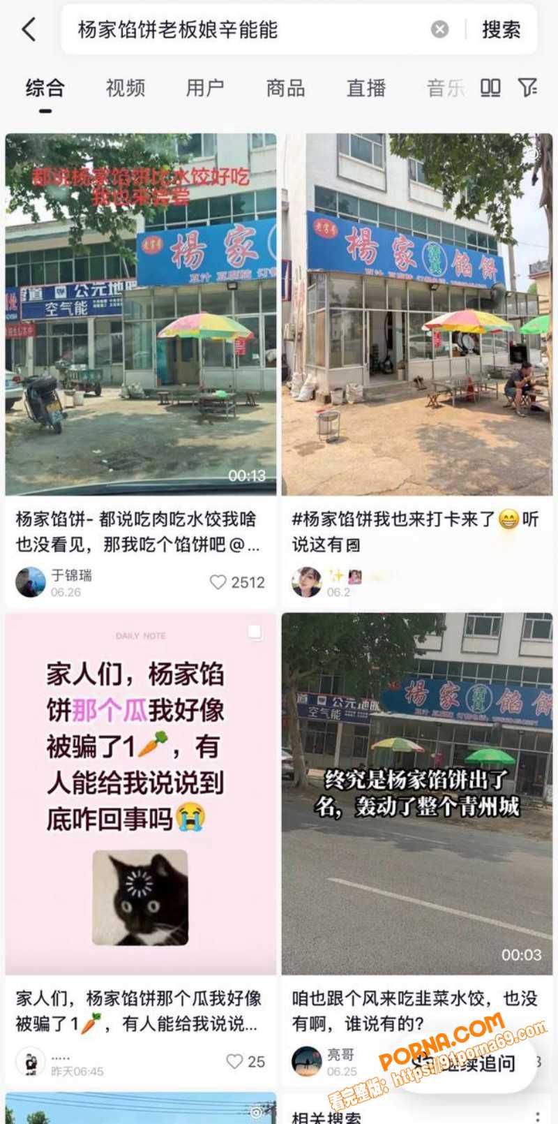 山东青州杨家馅饼老板娘 ...（4）