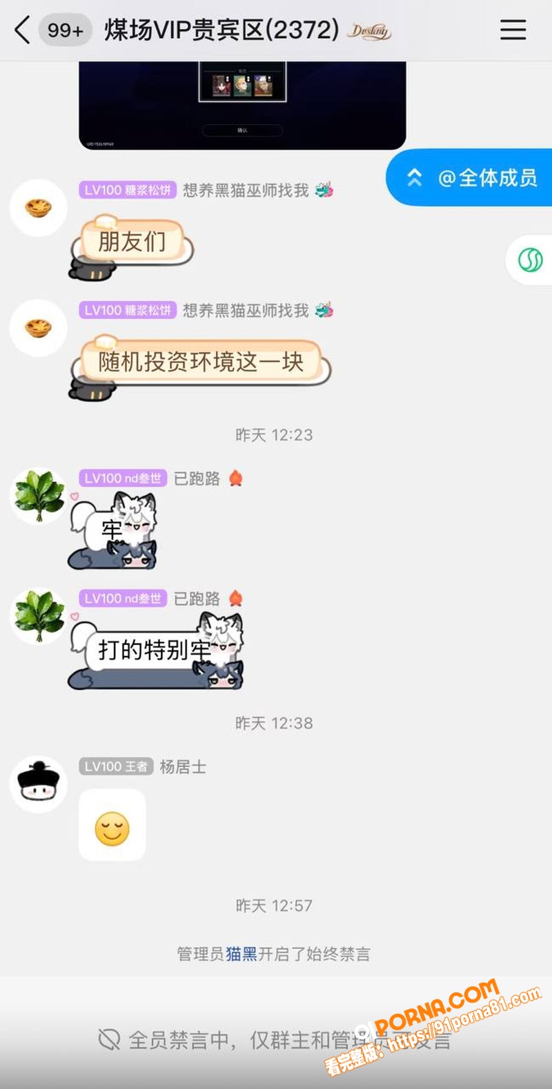 百万UP主 黑猫大少爷 ...（16）