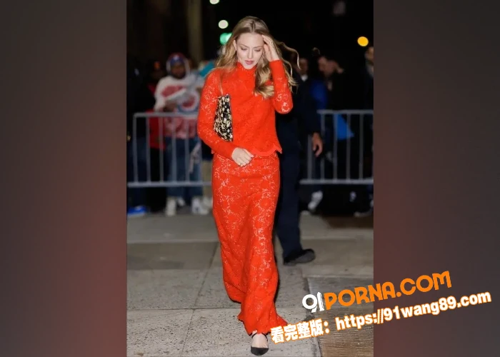 北美小花旦 阿曼达·塞弗...（4）
