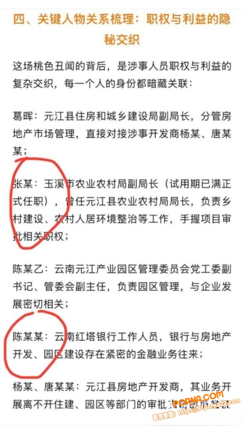 云南玉溪副局长张颖婚内偷...（24）