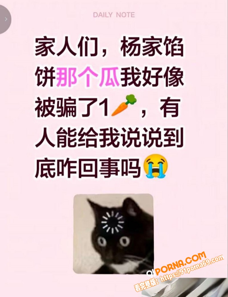 山东青州杨家馅饼老板娘 ...（6）