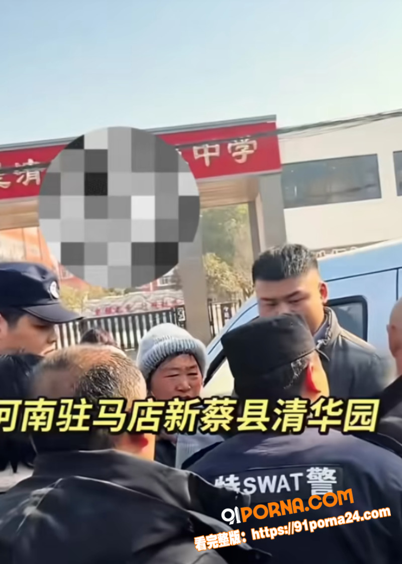 新蔡县今是清华园学校 学...（15）