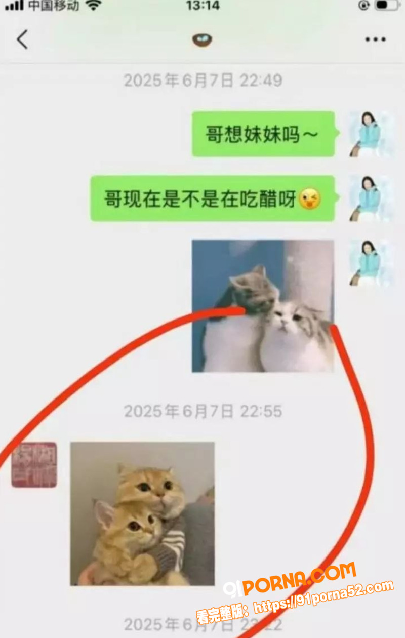 人大历史系教授 杨念群 ...（11）