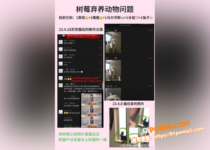 抖音400万粉网红 树莓...（13）