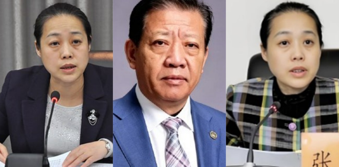 葵花药业 关彦斌 出轨女秘书生龙凤胎 杀妻未遂获刑11年 豪门恩怨分崩离析！