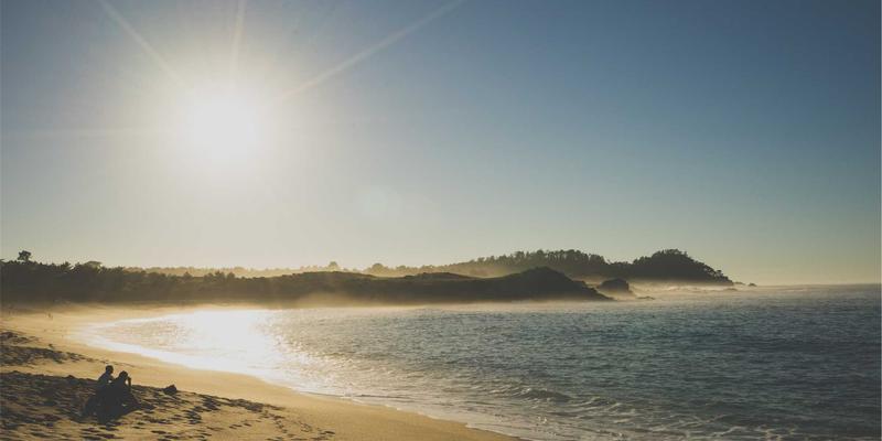 从战略到执行:三本必读商业沟通与战略书籍,提升企业对话效能