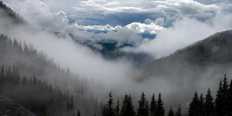 从战略到沟通：三本必读商业书籍助您构建卓越的ESG叙事