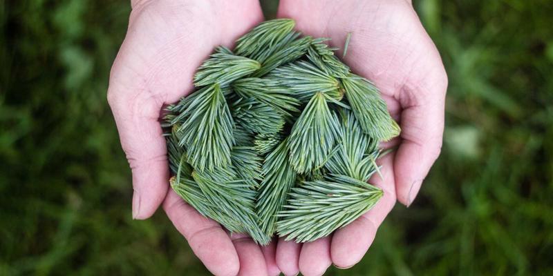 从紧张到自信：商务演示与公开演讲的沟通策略与必读商业书籍指南