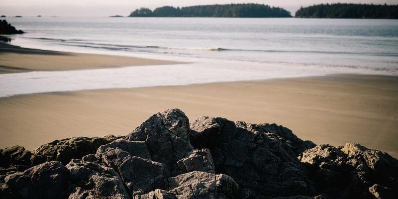 倾听的商业力量：提升管理者沟通效能的必读指南与实战练习