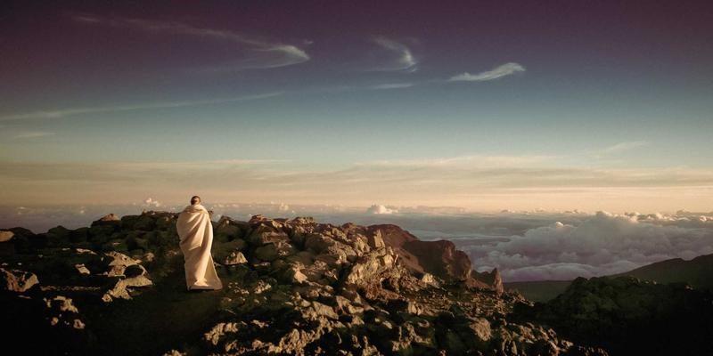 商业沟通与战略指南:精选书籍助你提升领导力与团队效能