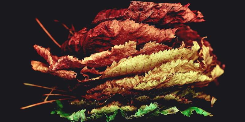 商务演讲制胜法则：从管理指南与沟通艺术中汲取力量，克服紧张发表影响力演讲