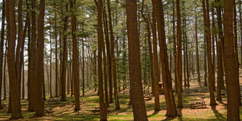 掌握商业沟通艺术：5本必读谈判与说服力管理指南
