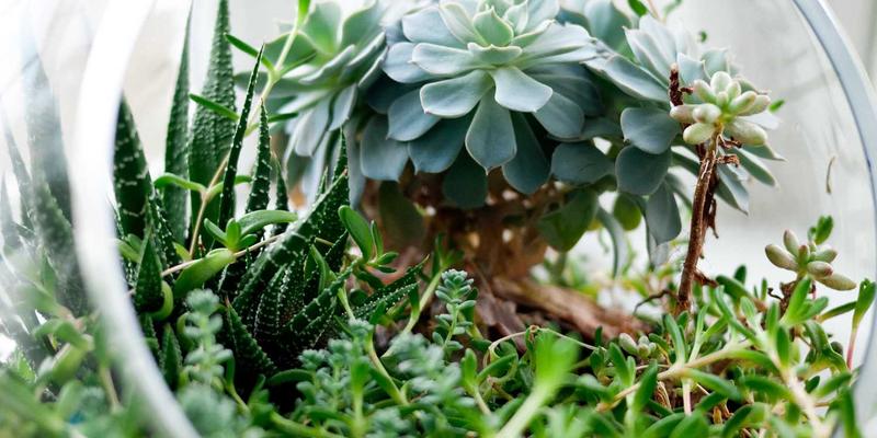 提升组织效能的基石:5本必读的商业沟通与管理指南