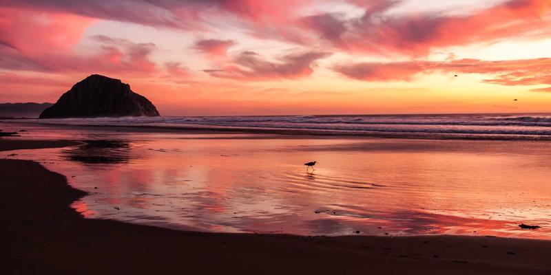 职场沟通的艺术：5本必读的商业管理书籍，助你掌控艰难对话