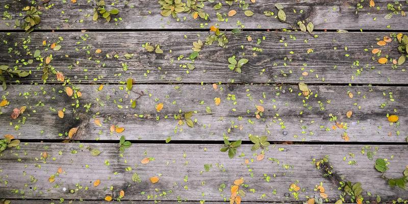 虚拟演示与线上路演的成功秘诀：从《business communication books》到实战工具全解析