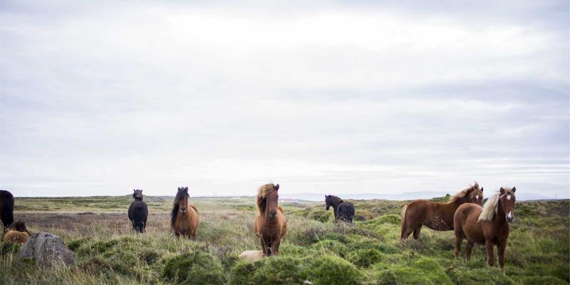 重塑商业对话：5本非暴力沟通管理指南如何优化企业战略与团队协作