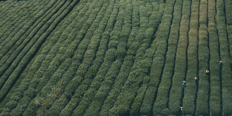 高效会议管理指南：从策划、主持到跟进的团队效率革命